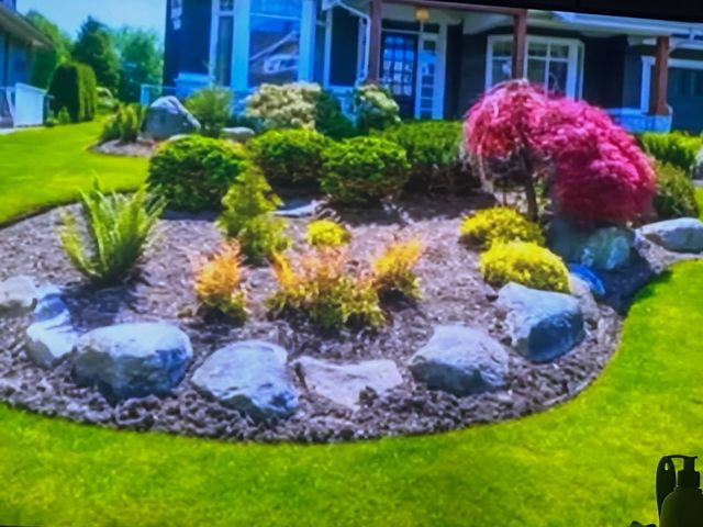 Planting and Rockery