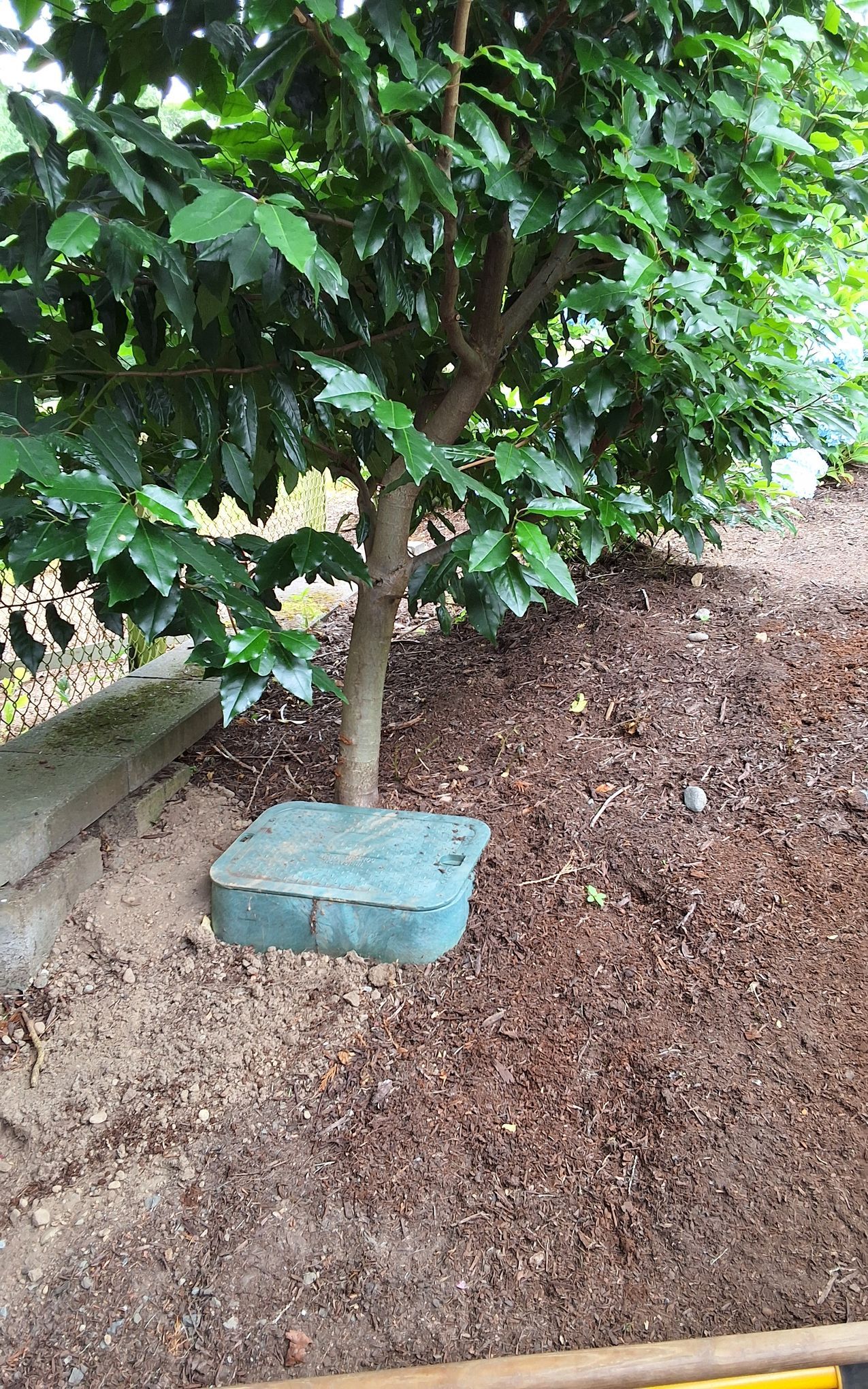 Irrigation System installed