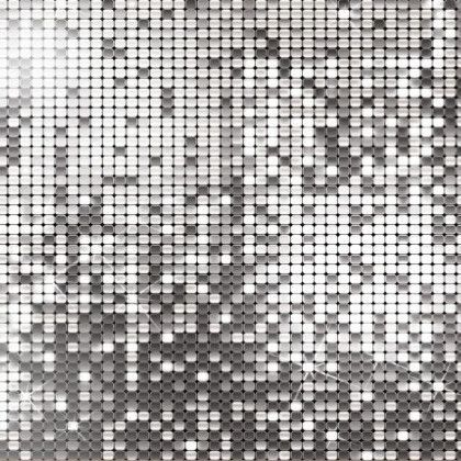 Silver Sequin
