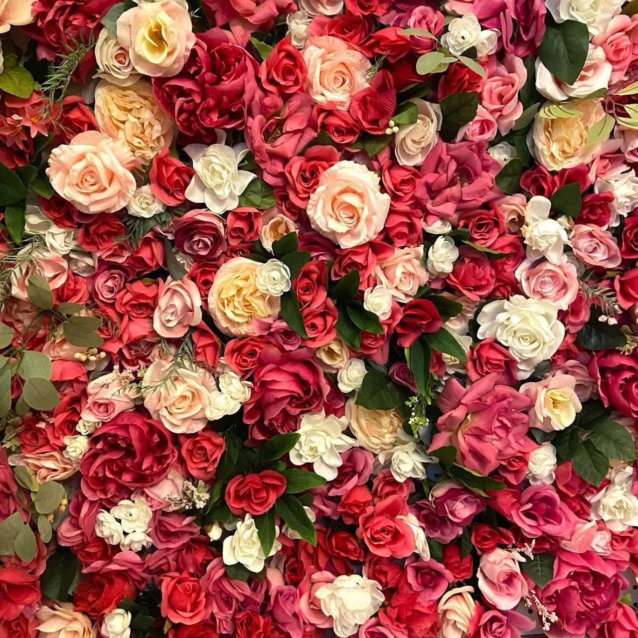 flower wall of red roses on a white background