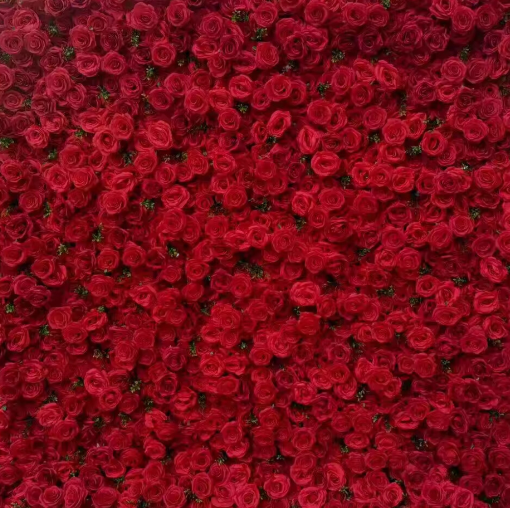 flower wall of red roses on a white background