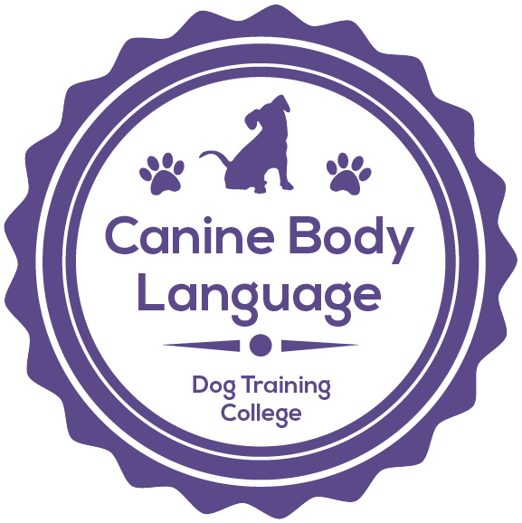 Canine Body Language by Dog Training College