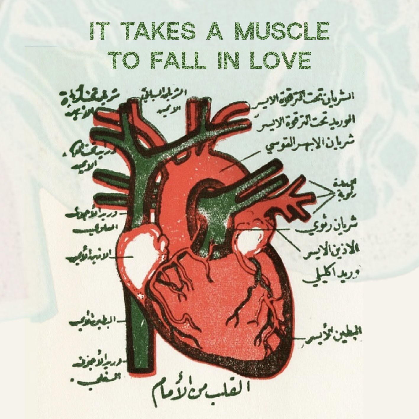 IT TAKES A MUSCLE TO FALL IN LOVE