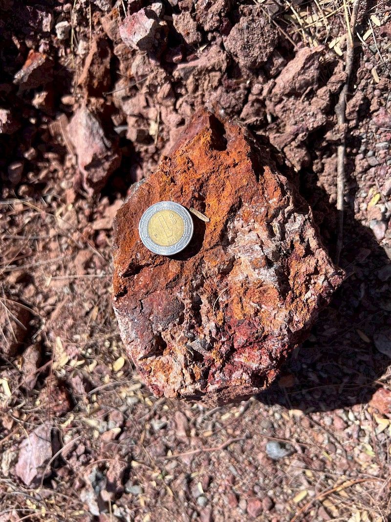 A coin is sitting on top of a rock.