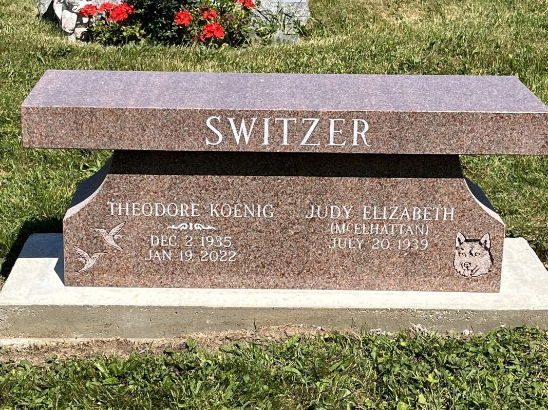 Cemetery with numerous headstones on a grassy lawn; trees casting shadows.