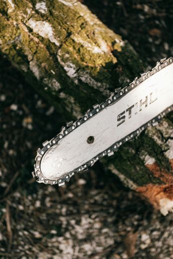 A chainsaw is sitting on top of a tree trunk.