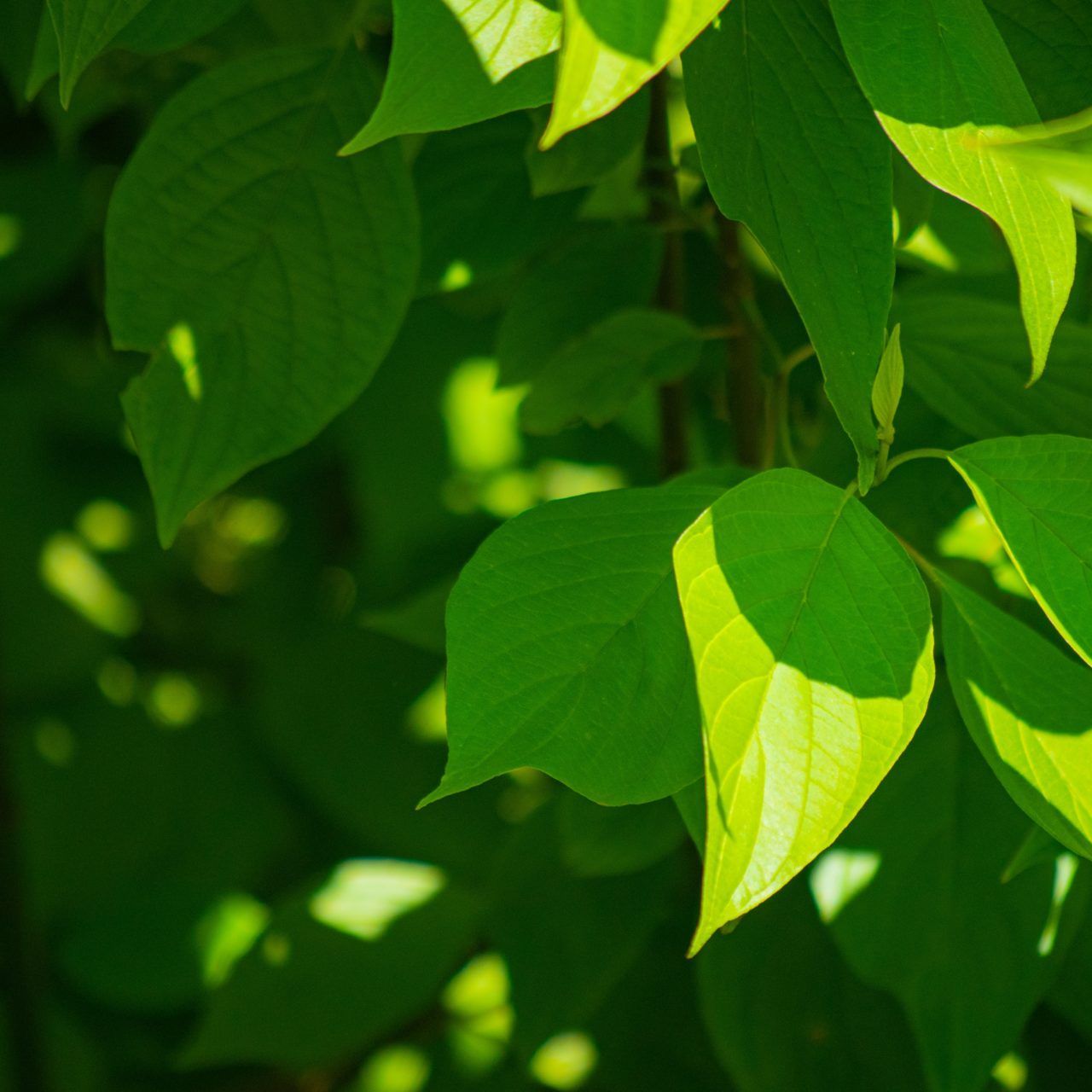 FRP Holdings | Environment