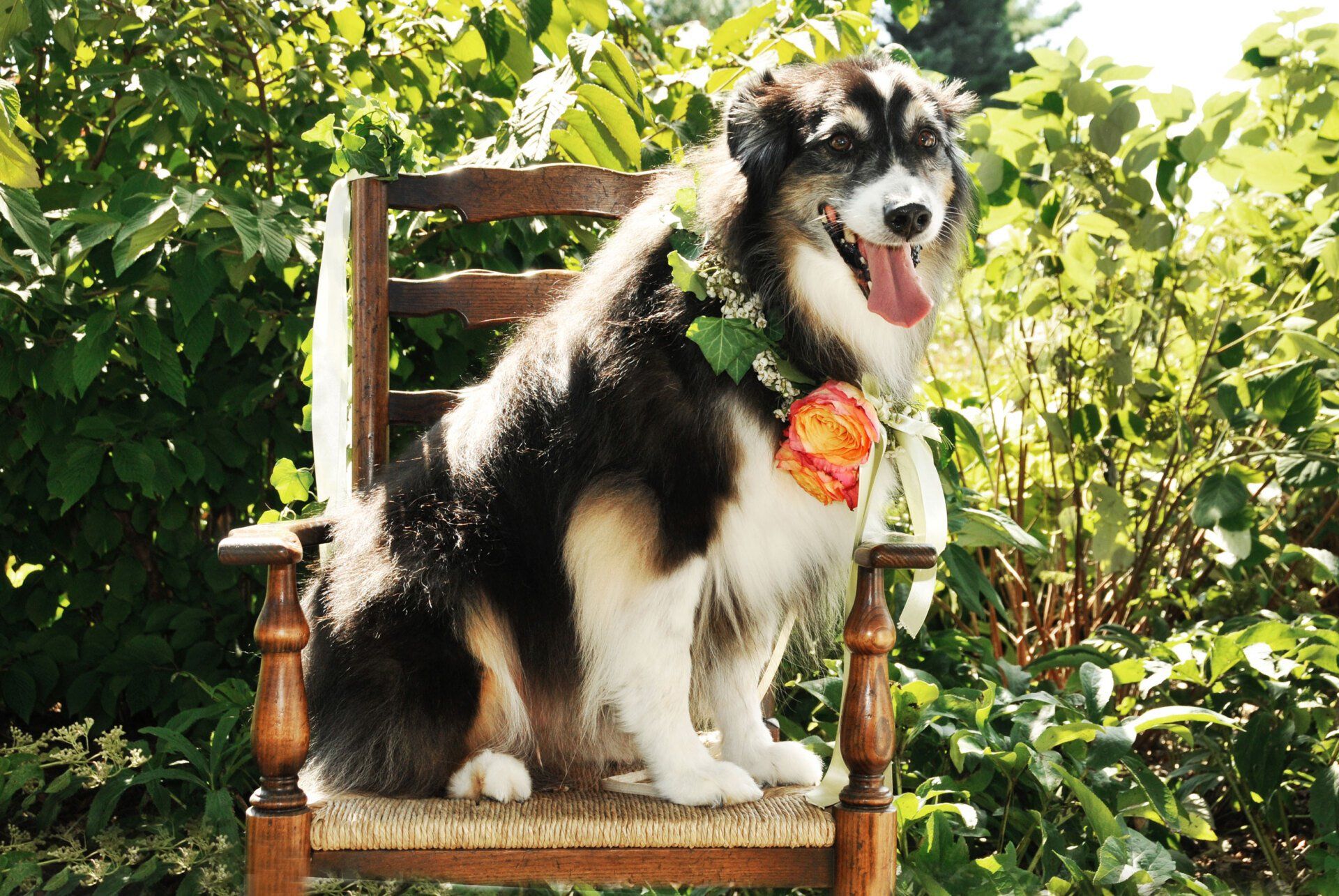 Petal Pushers Menu Image 7