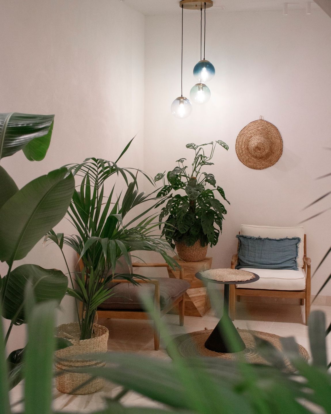 A living room filled with lots of plants and furniture