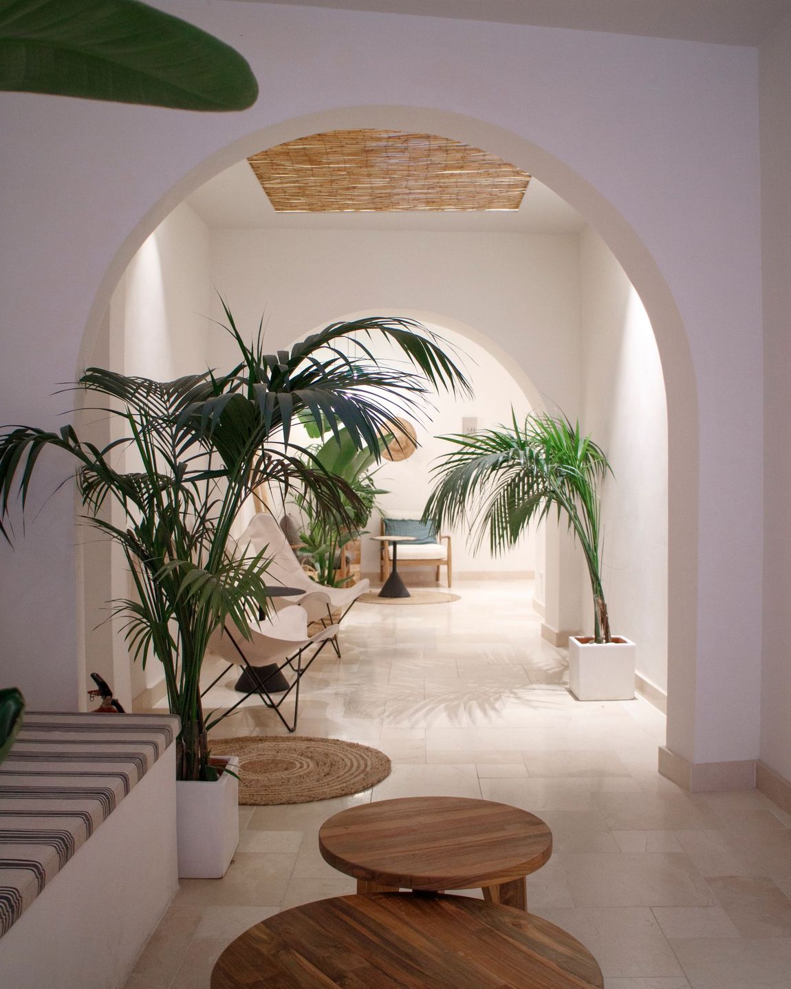 A hallway with tables and chairs and palm trees
