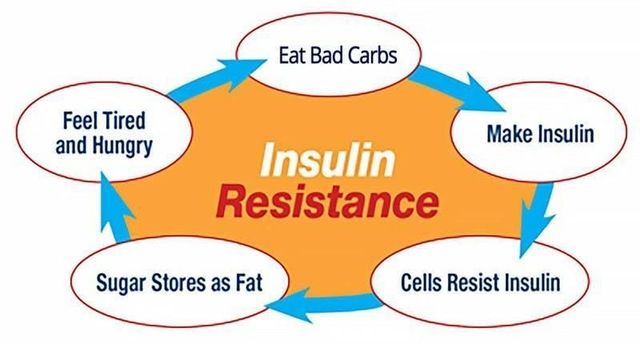 Weight loss and Insulin Resistance