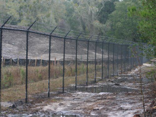 Tall Chain Link Fence — Yulee, FL — Creative Services & Fence Company Inc.
