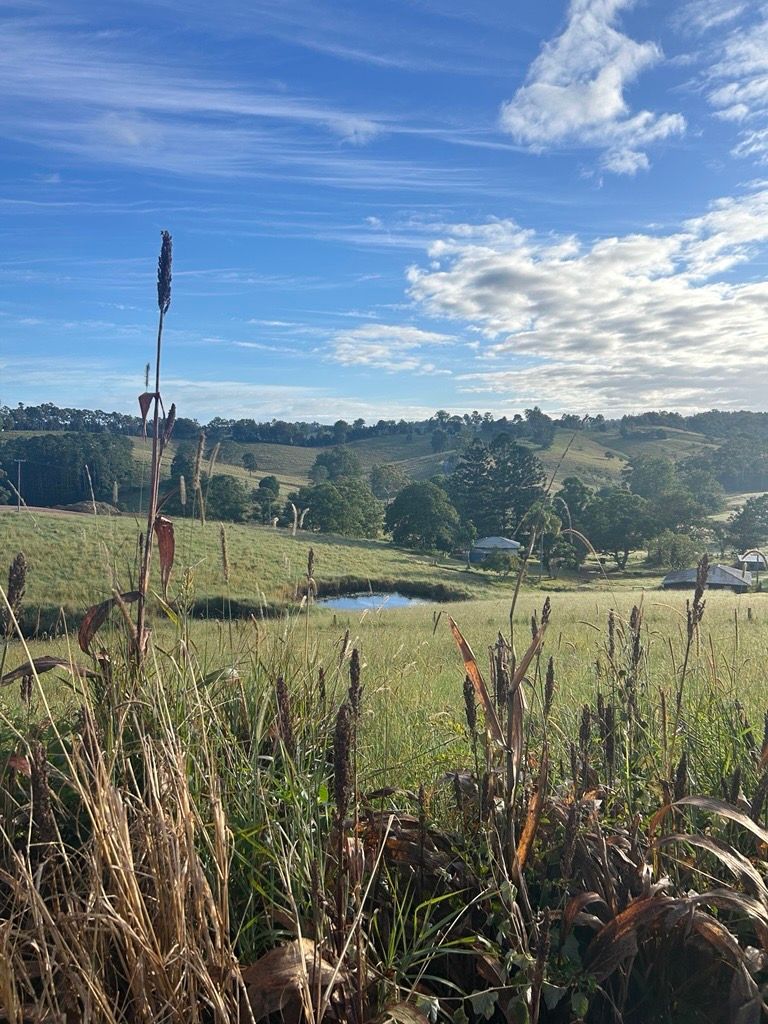 Rolling green hills with a small pond, under a blue sky with streaky clouds — BC Earthmoving and Tipper Hire in Gympie, QLD