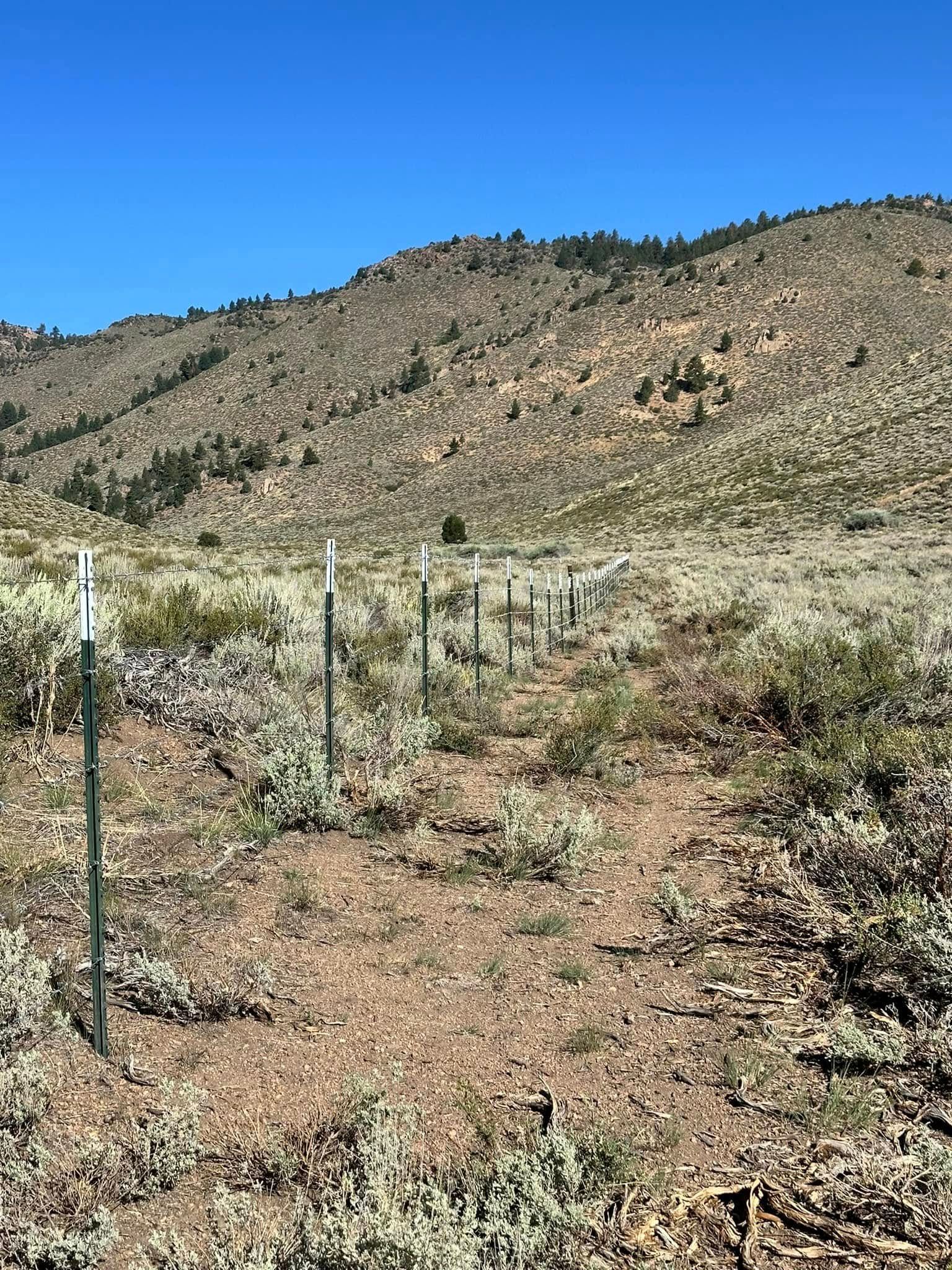 A row of metal posts with white tops in a field, with a mountain range in the background under a blue sky.
