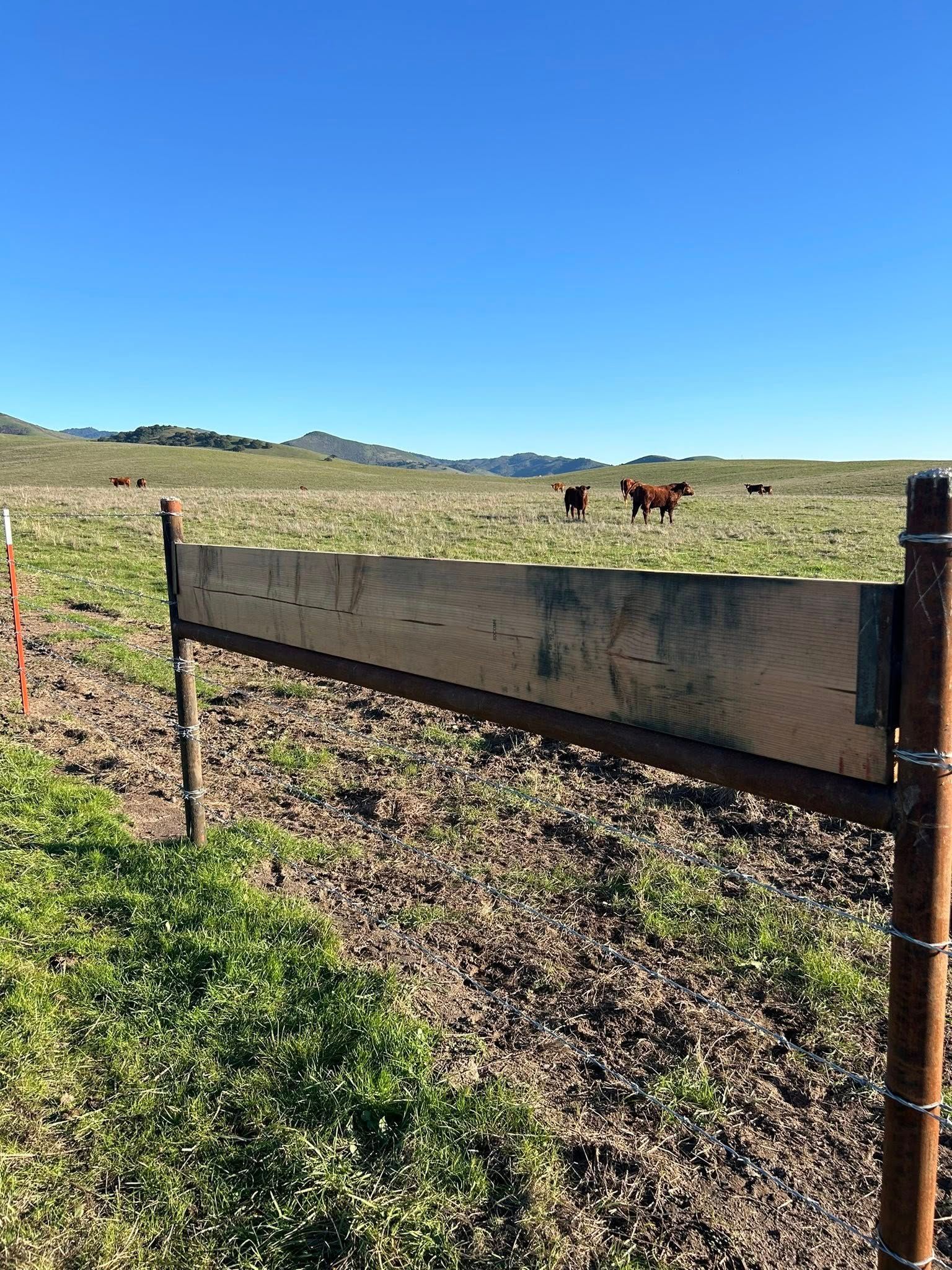 Wooden sign on a fence in a grassy field, with cows grazing under a blue sky.