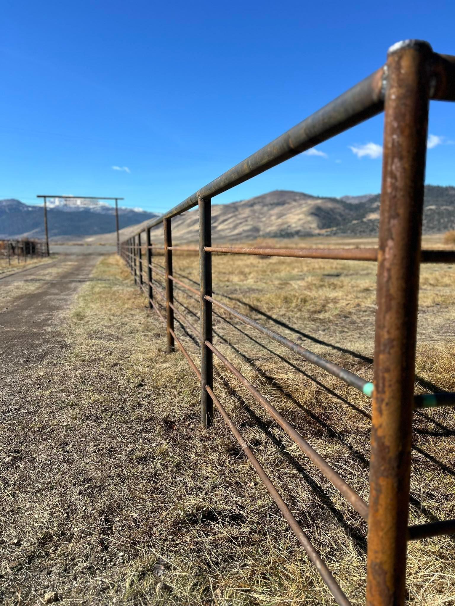 Rusty metal fence along a gravel road, leading to a gate in a field with mountains under a blue sky.