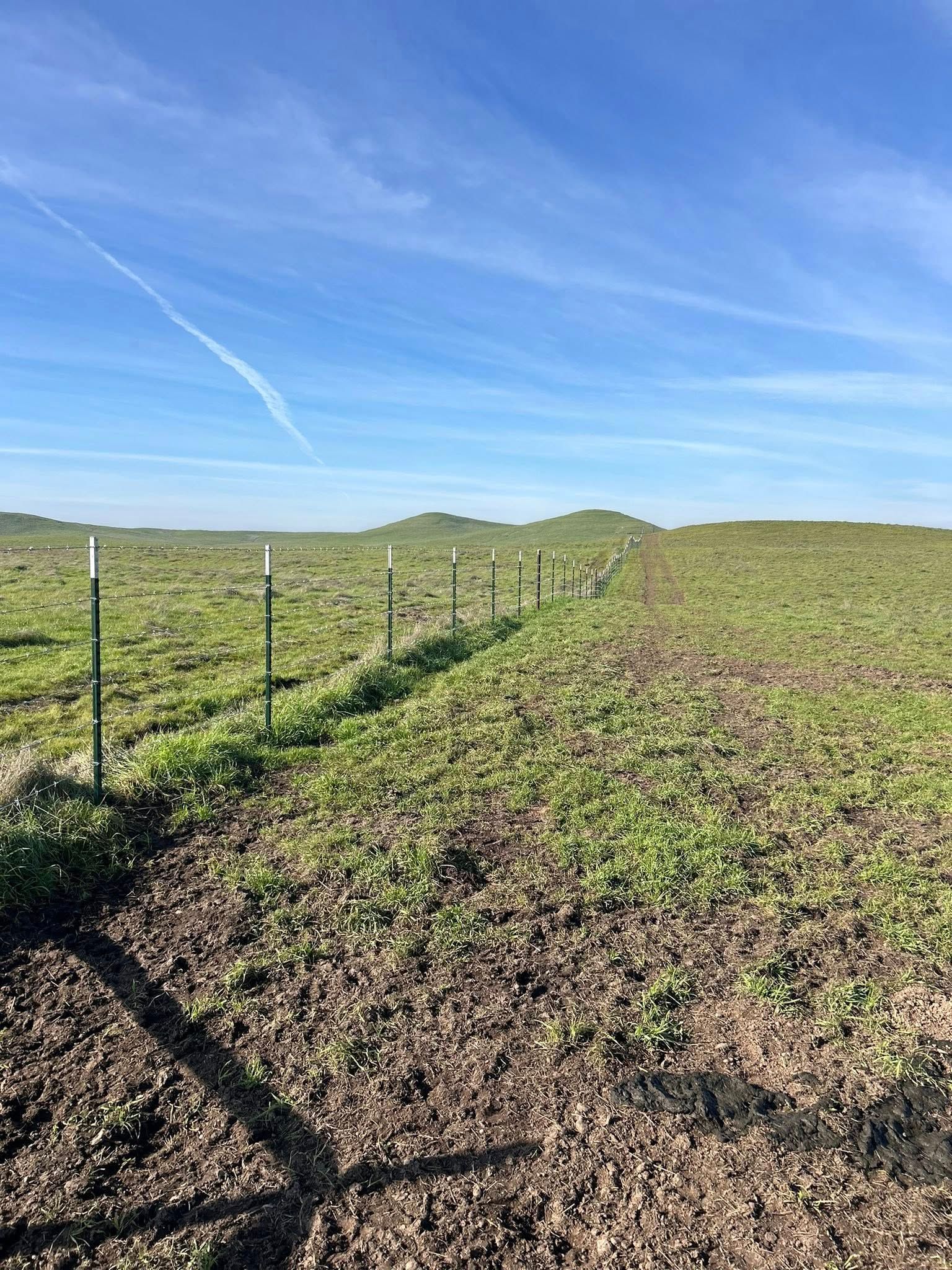 Fence line dividing green field under a blue sky, low hills in the distance.
