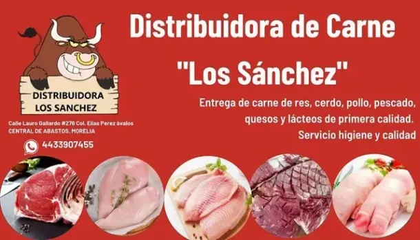 DISTRIBUIDORA DE CARNE FRESCA LOS SANCHEZ