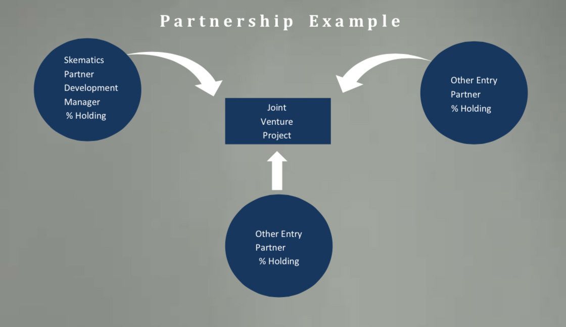 partnership example