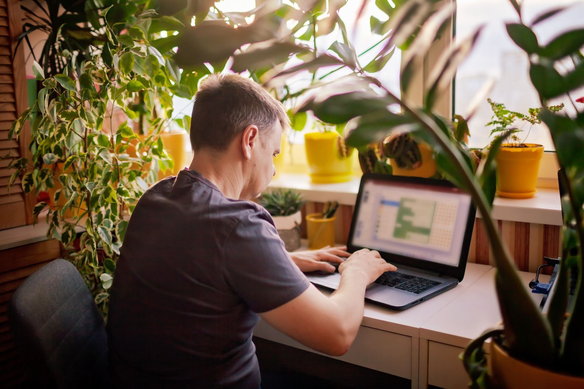 A man working with laptop remotely from home garden pod. A distant work place with many home plants. Green nature inspired home office pod. Indoor outdoor lifestyle