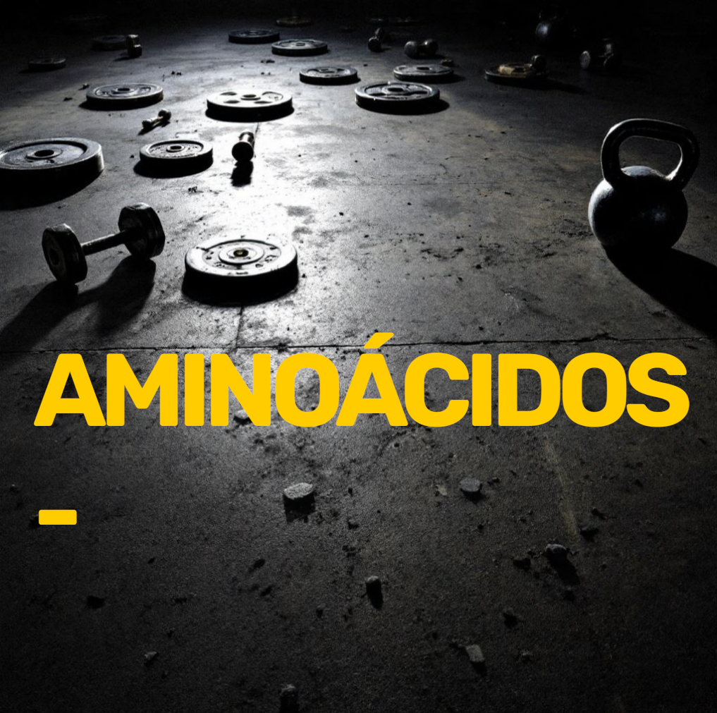 AMINOACIDOS