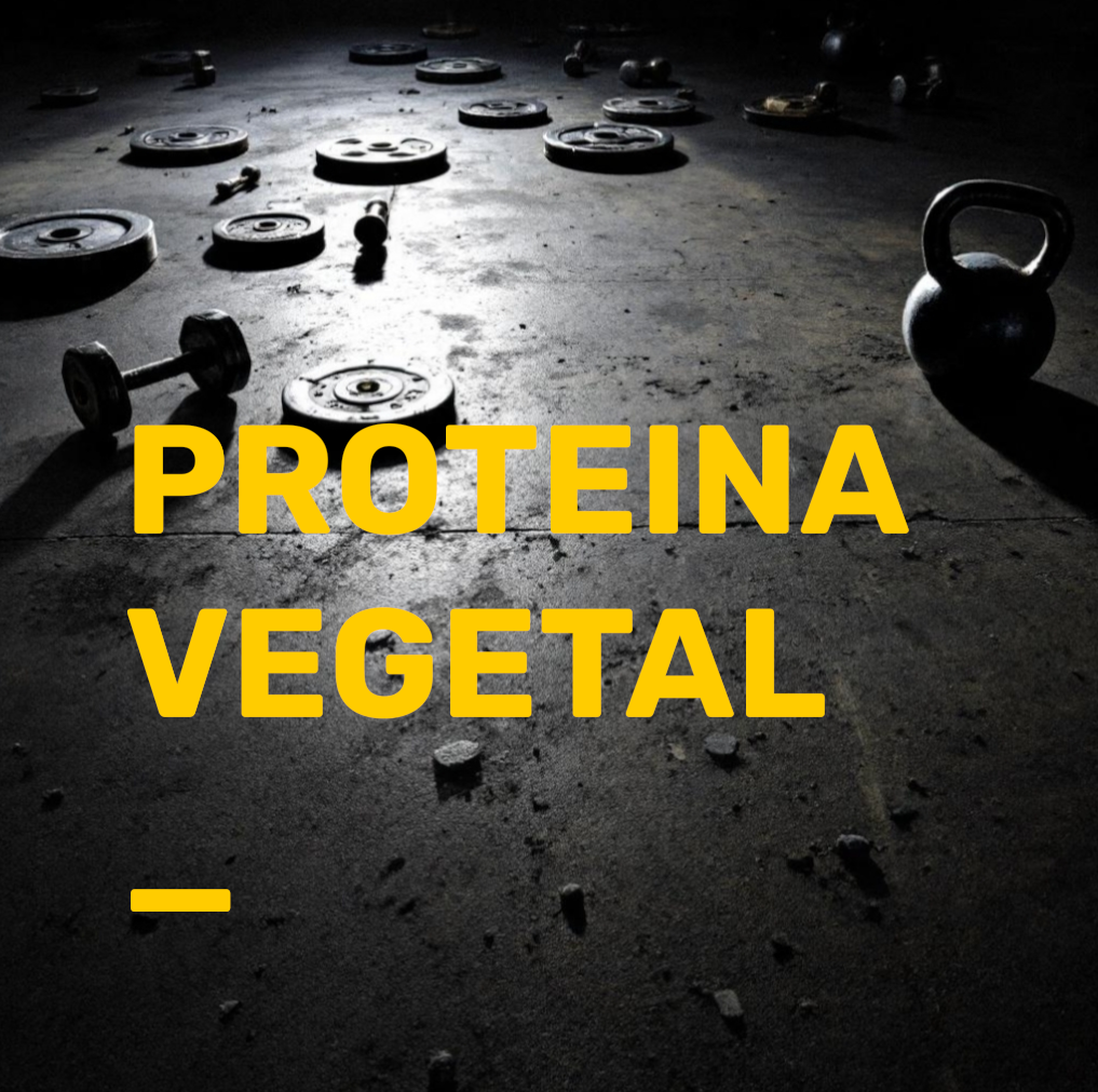 PROTEINAS VEGETALES