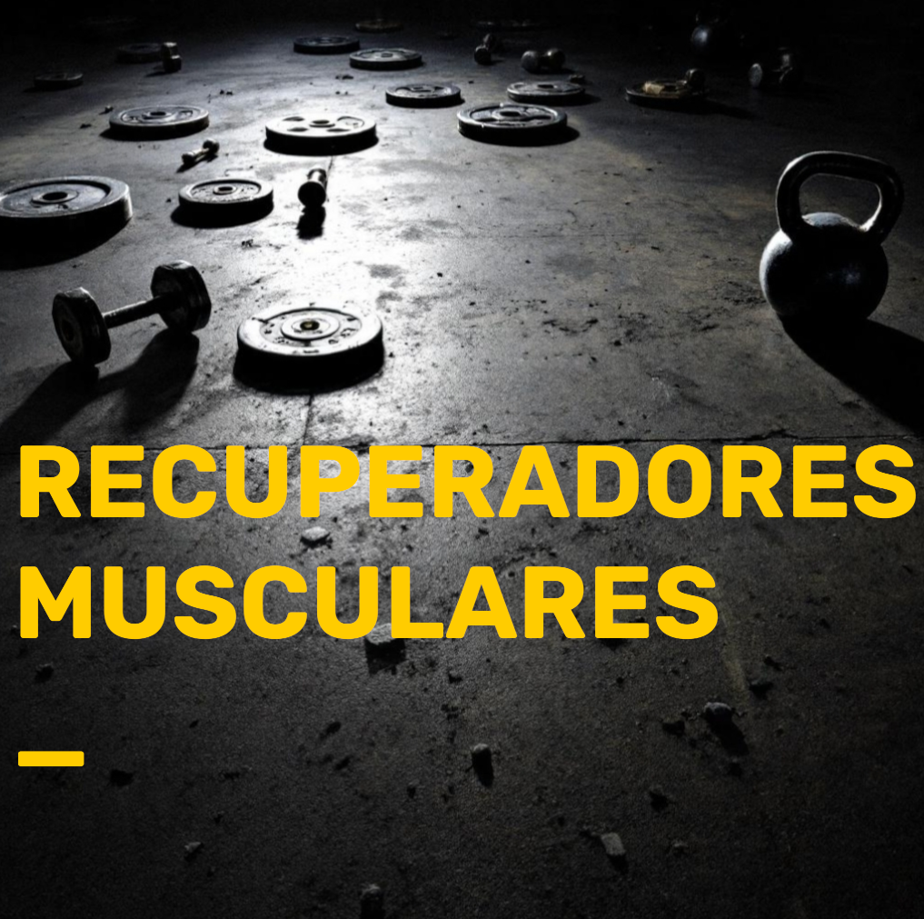RECUPERADORES MUSCULARES