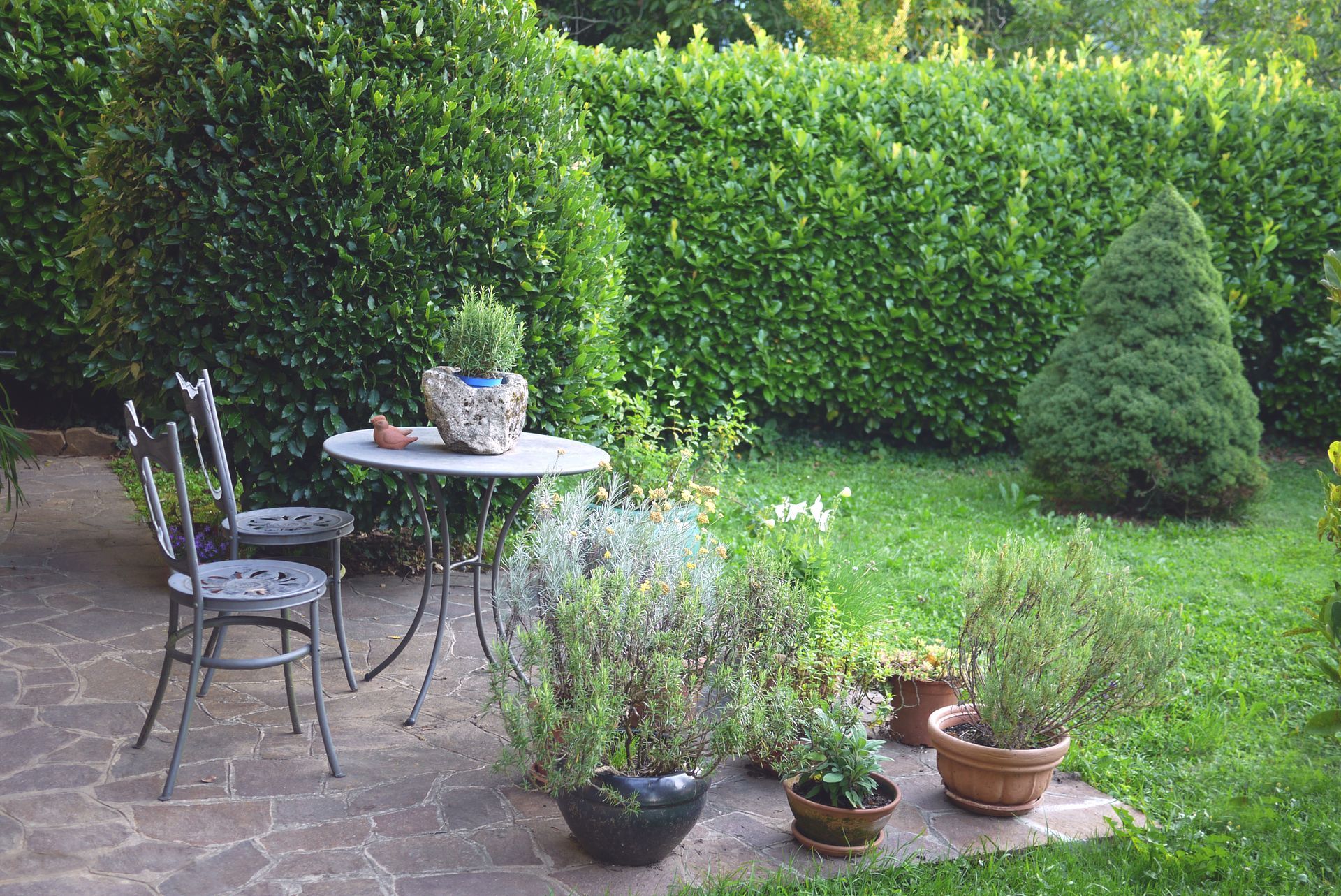 Un tavolo e delle sedie in un giardino con piante in vaso