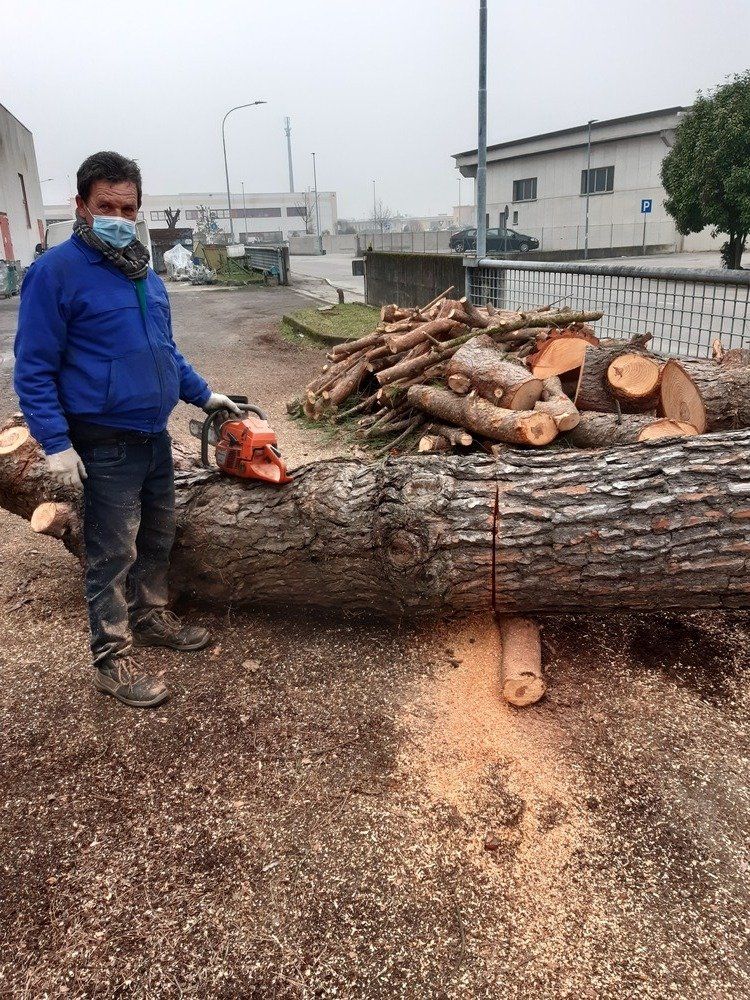 abbattimento e smaltimento alberi