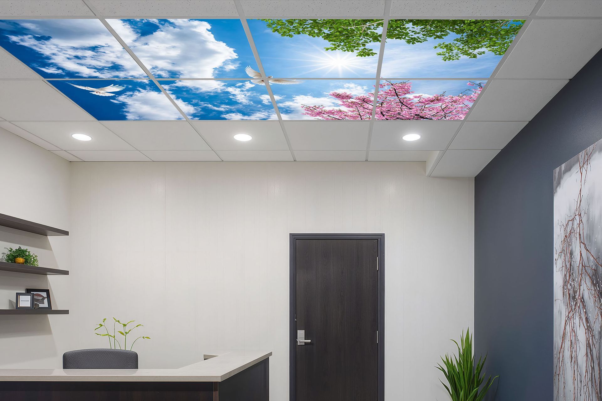 LED sky ceiling panels installed in commercial interior reception area