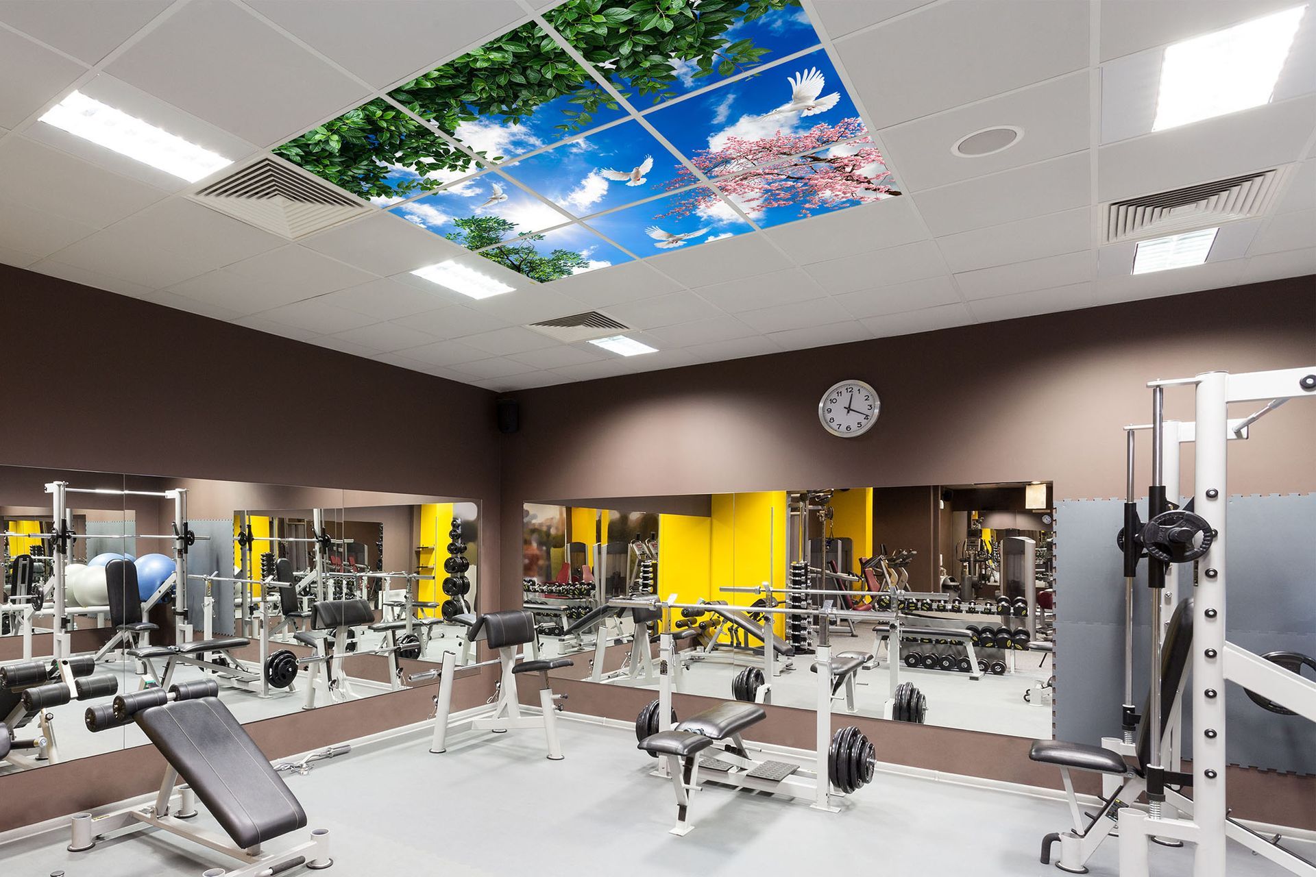 LED sky ceiling panels installed in gym ceiling