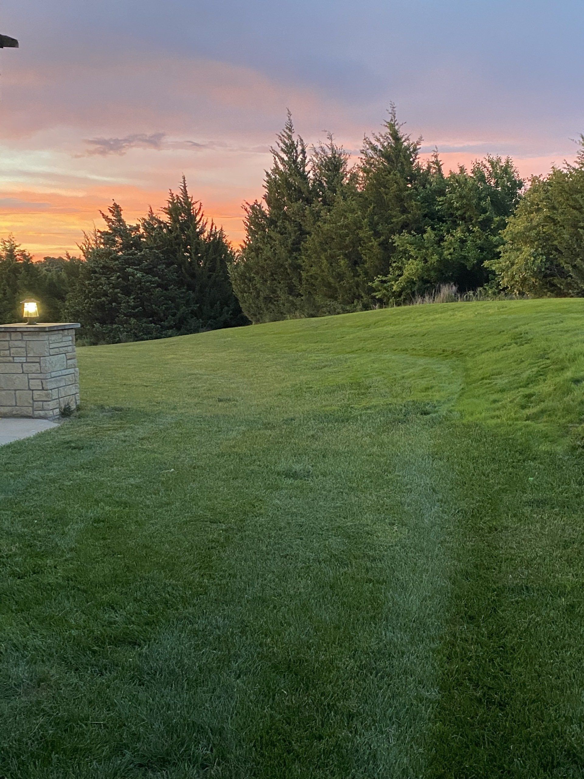 Hill landscape that has been Hydroseeded by Hometurf