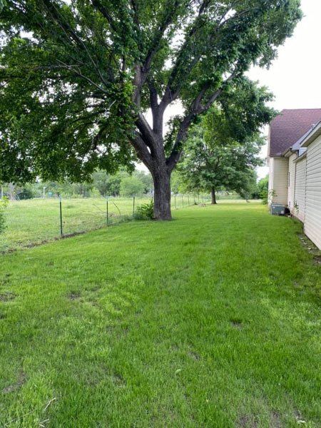 Before and after of Hometurf Hydroseeding