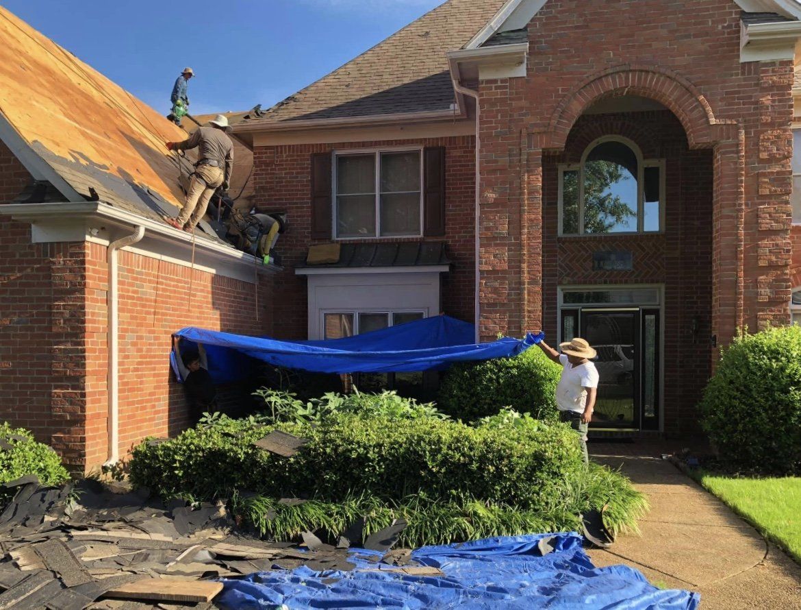 Roofers remove old shingles from a brick house. Tarps cover plants.