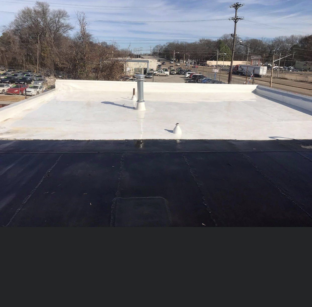 Flat commercial roof, black and white sections, bird stands in the middle, sunny day, other buildings in the background.