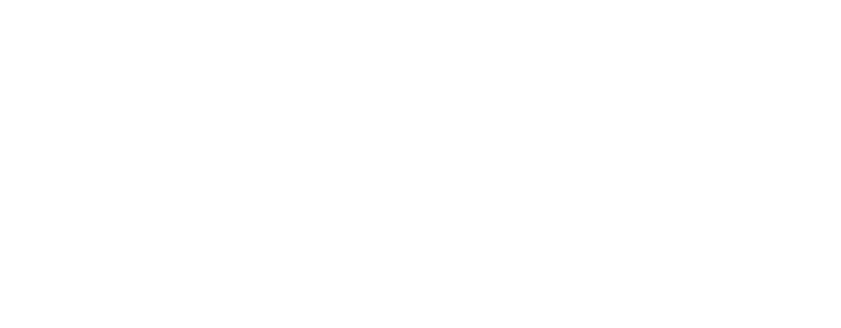 Primo Corporation