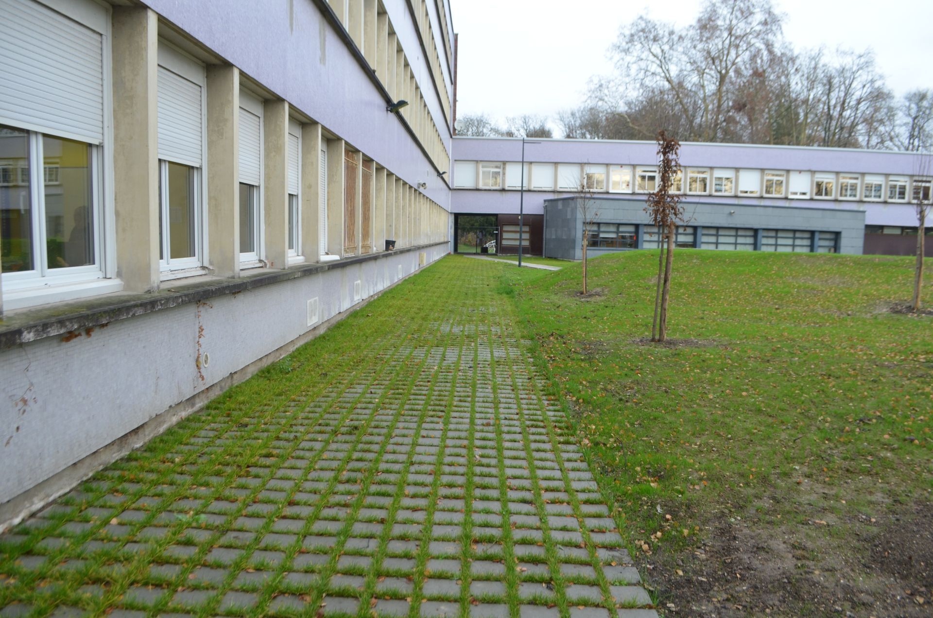 Une allée pavée, avec de l'herbe poussant entre des dalles de béton, longeant un grand bâtiment violet clair.