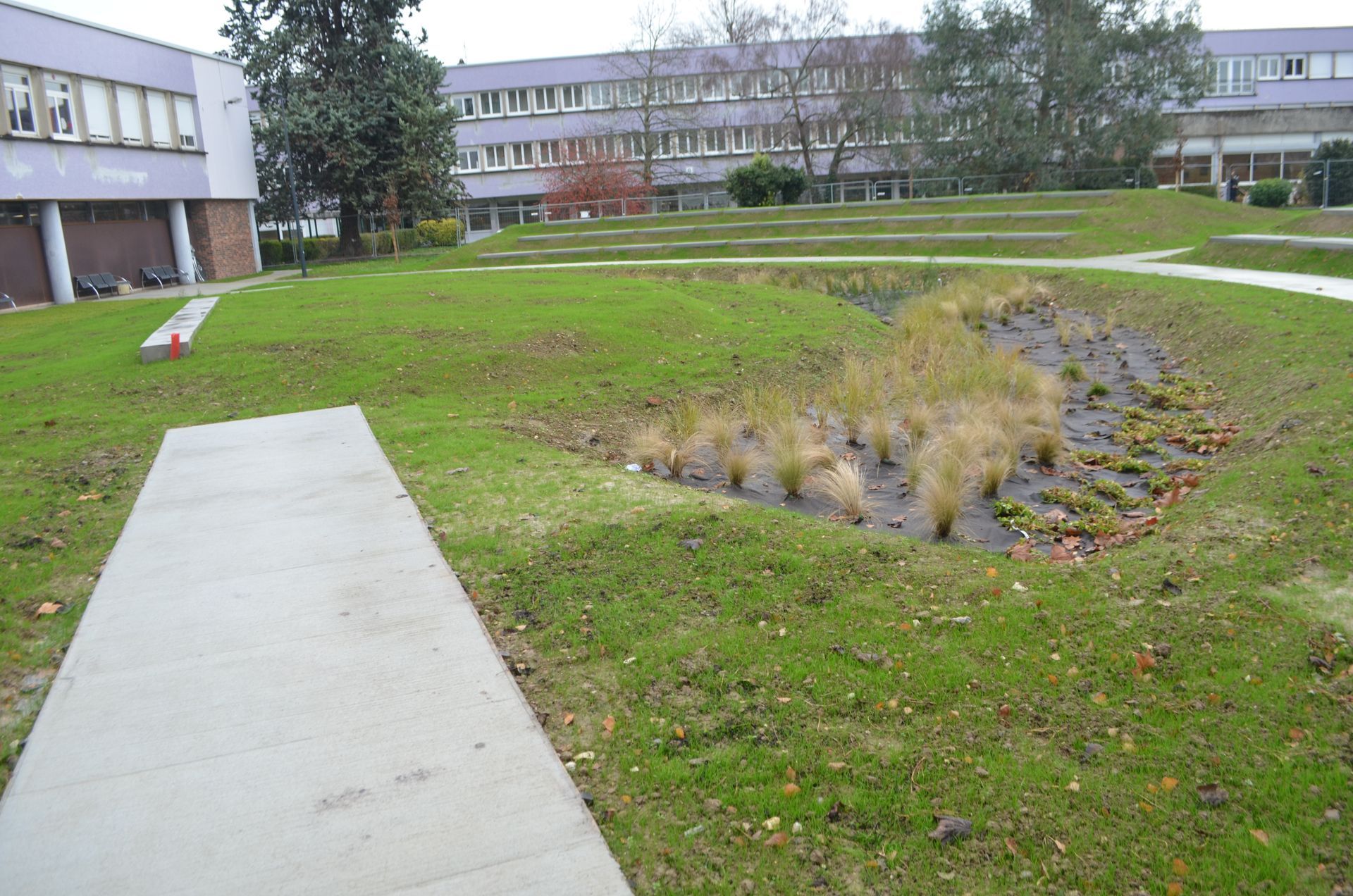 Un chemin en béton mène à une dépression herbeuse faisant office de jardin de pluie, avec un immeuble de plusieurs étages en arrière-plan.