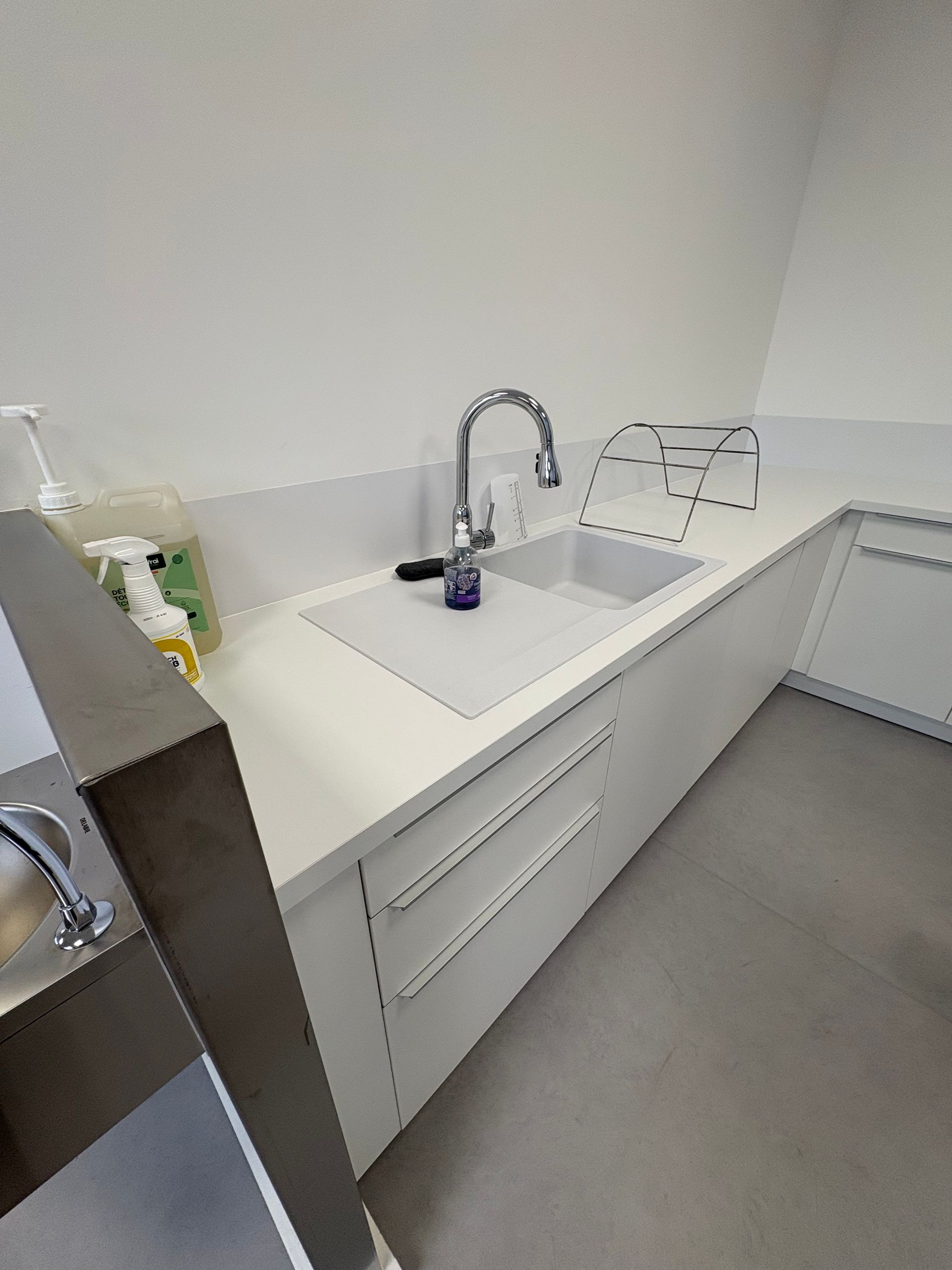Un évier et un plan de travail blancs de laboratoire, avec un robinet chromé et une grille métallique transparente, sont installés contre un mur uni.