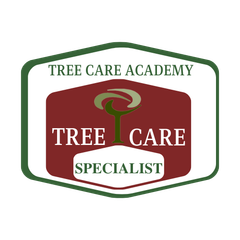 Logo for Tree Care Academy: green outline, burgundy hexagon with tree graphic, white text