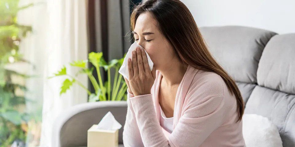 Woman Sneeze with Tissue Paper — Nicholasville, KY — Stewart Air Conditioning & Heating