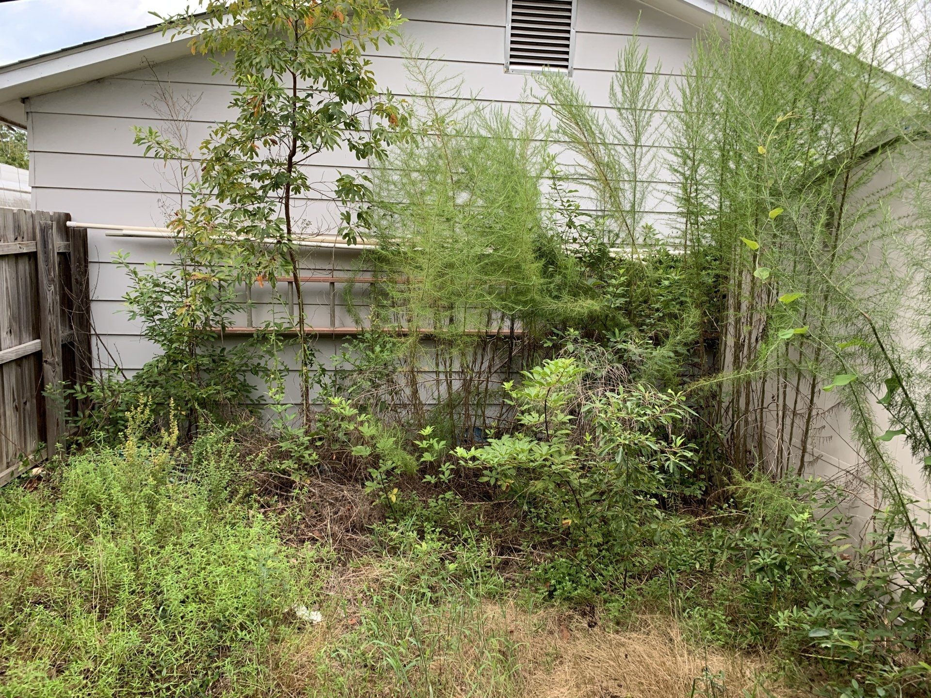 TREE & BRUSH REMOVAL North Augusta, SC Fall Line Reliable Services