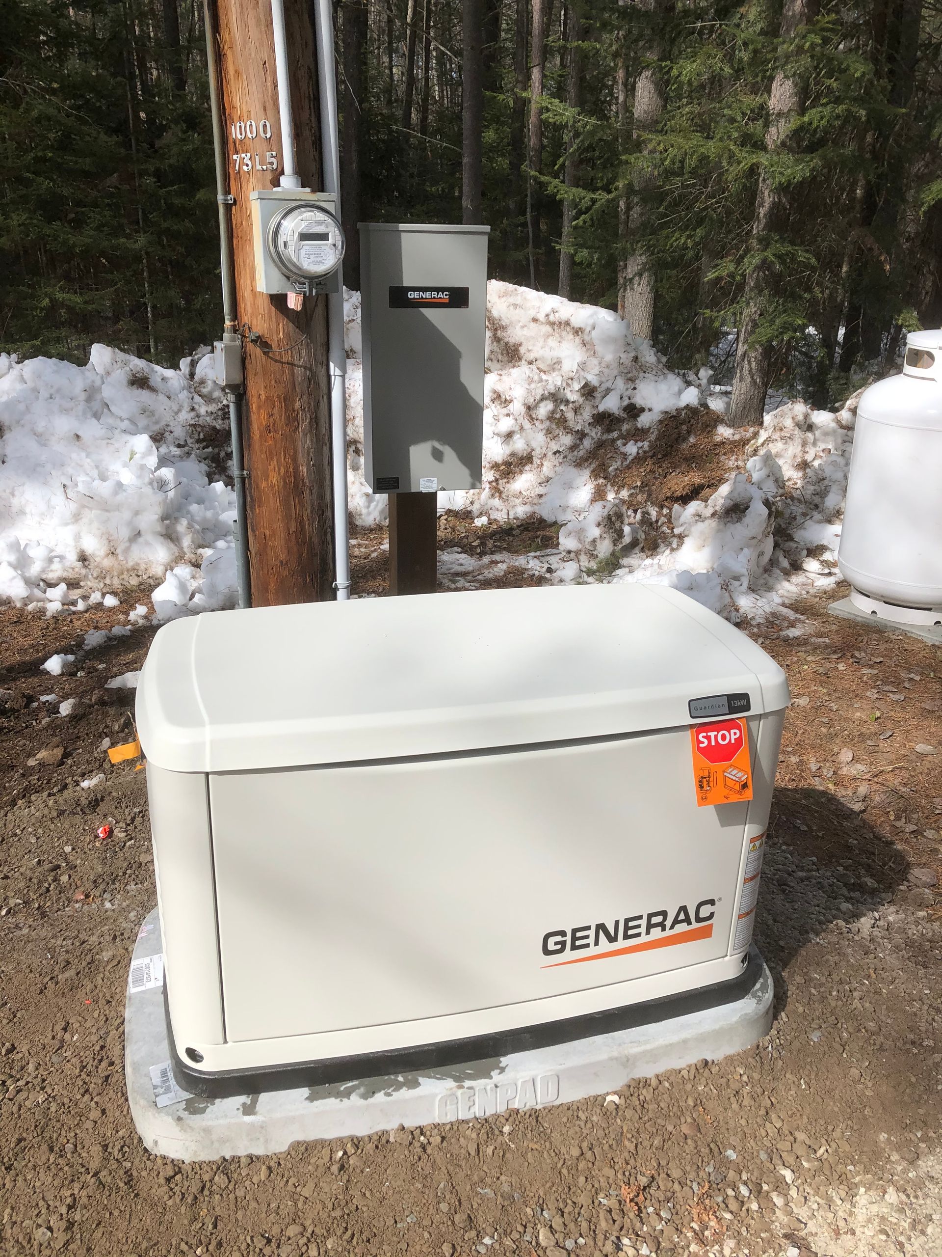A generator is sitting next to a pole in the woods.