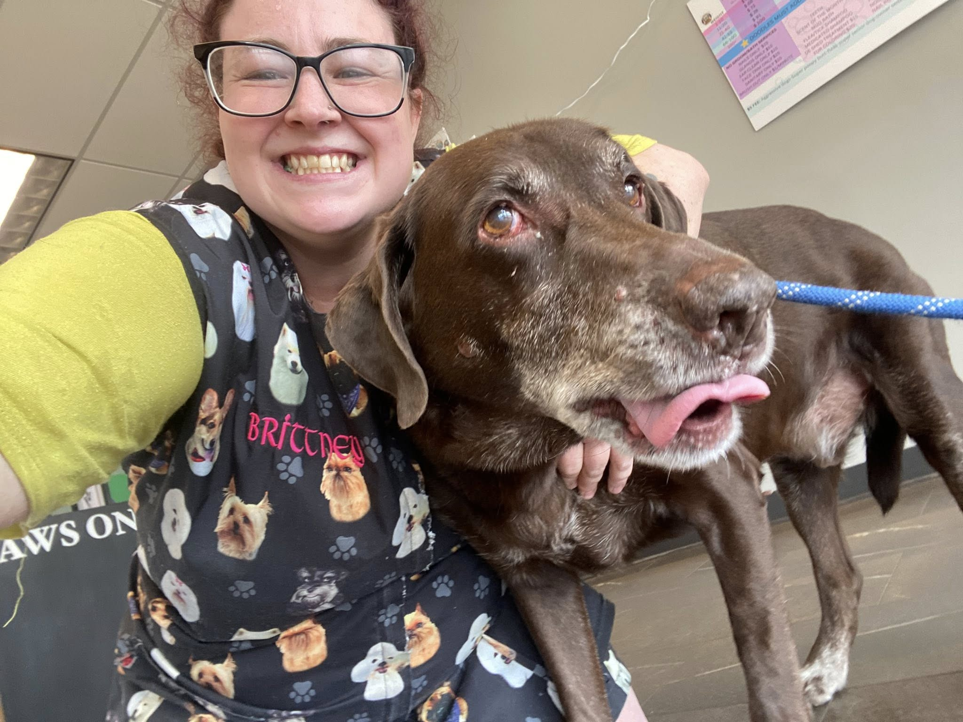 Woman smiling with a brown Labrador; both looking at the camera. Dog's tongue is out. They're outdoors.