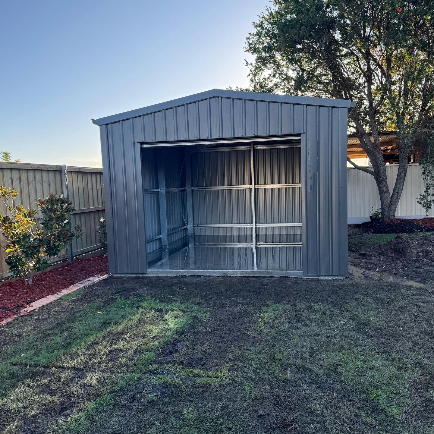Grey metal shed with open front in a backyard with grass and a fence.