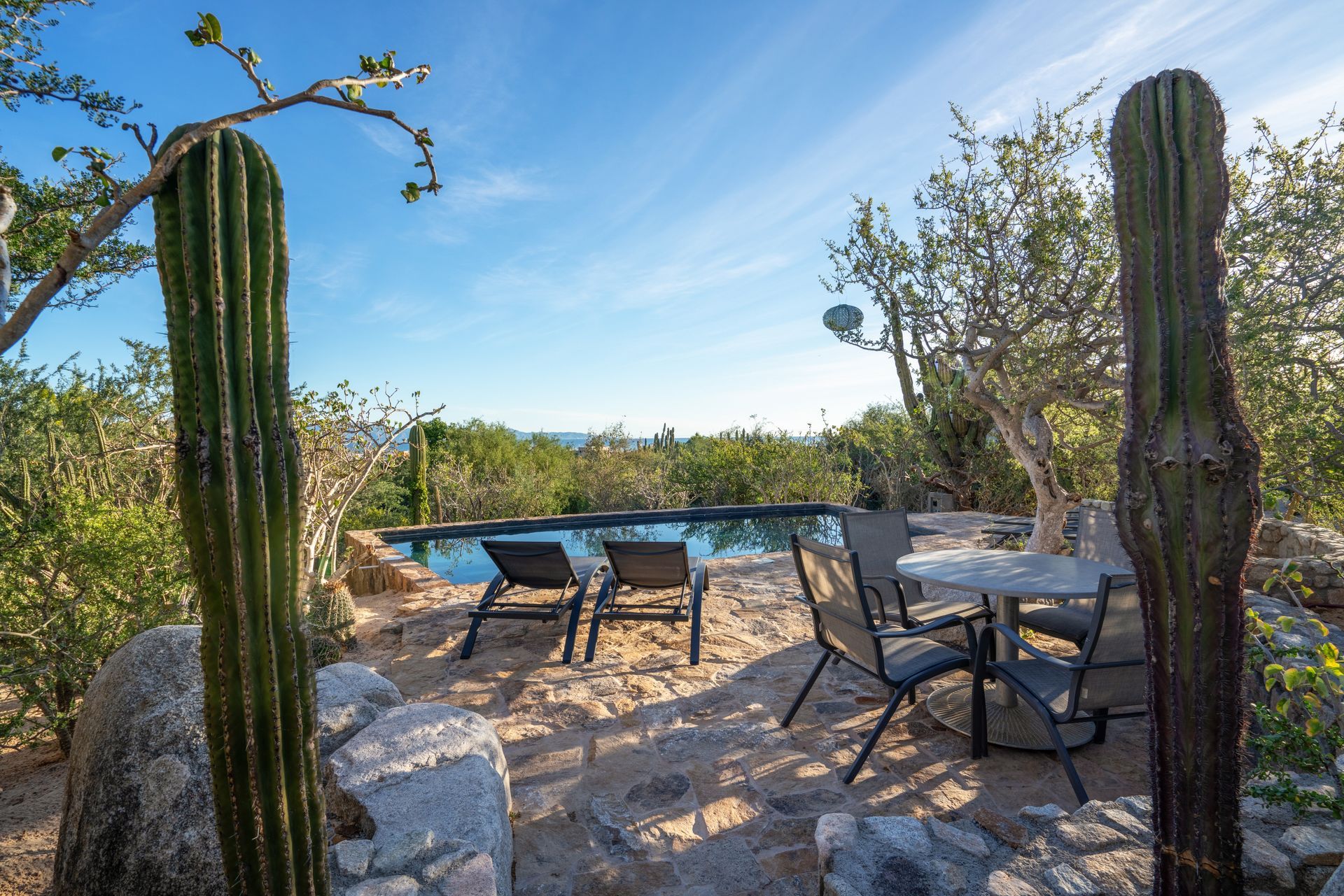 Cactus frames a pool with lounge chairs and a table. Overlooking the ocean under a bright blue sky.
