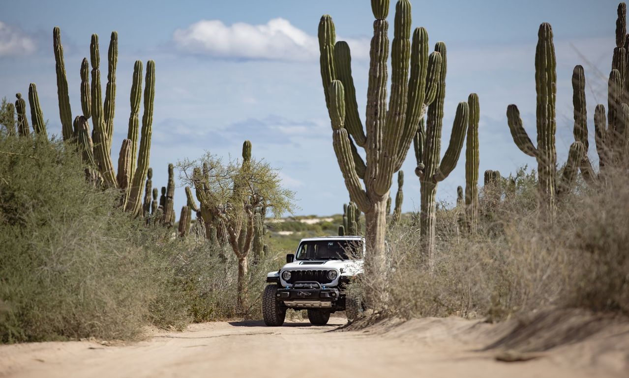 Jeep drives on dirt road through desert with tall cacti.