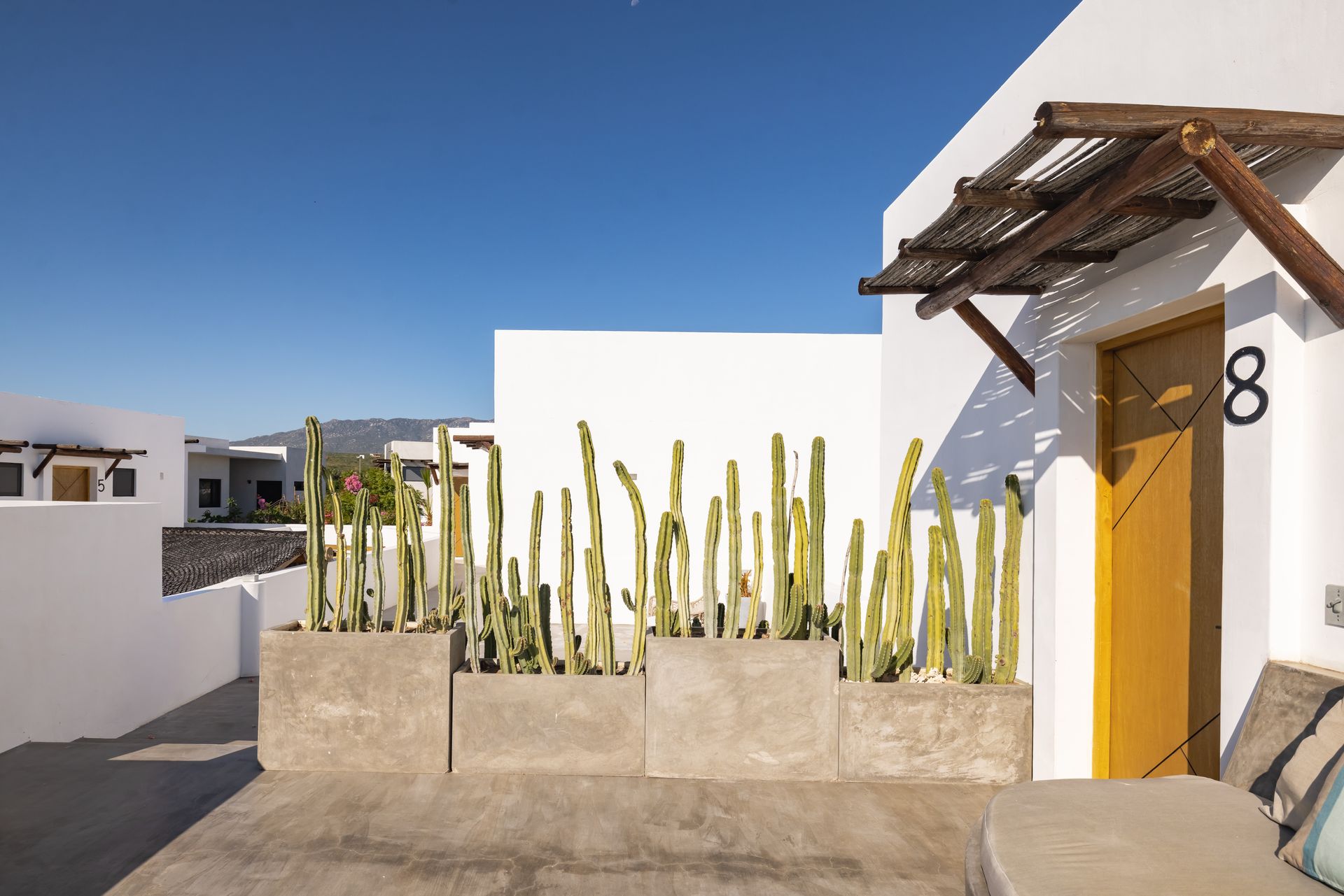 White building exterior with cacti planters and a yellow door.