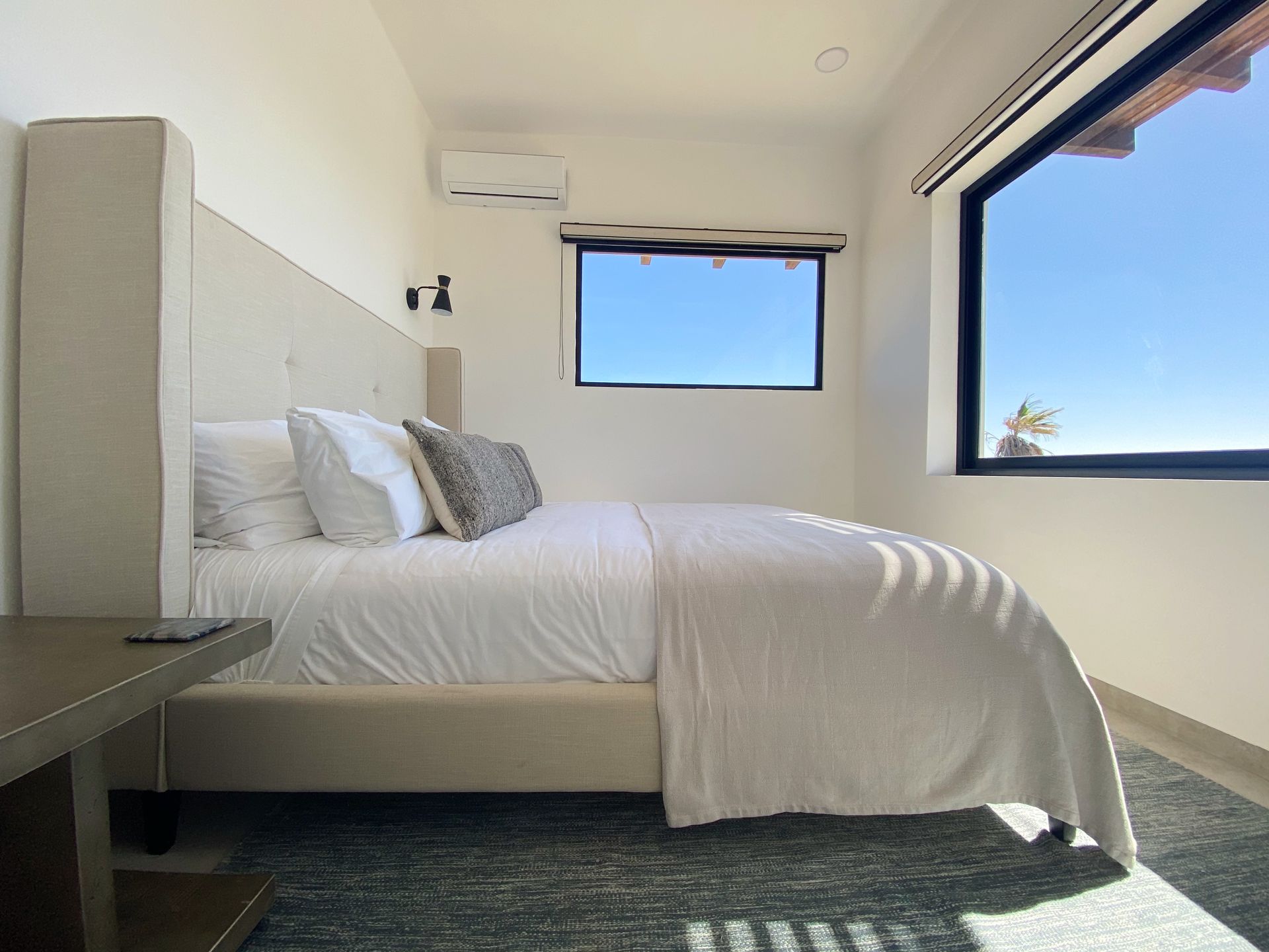 Bedroom with a bed, white bedding, window, and a dark rug. Sunlight streams in.