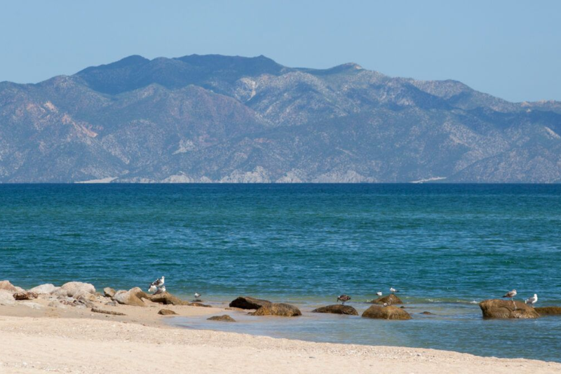Beach scene with mountains, blue water, and birds on rocks.